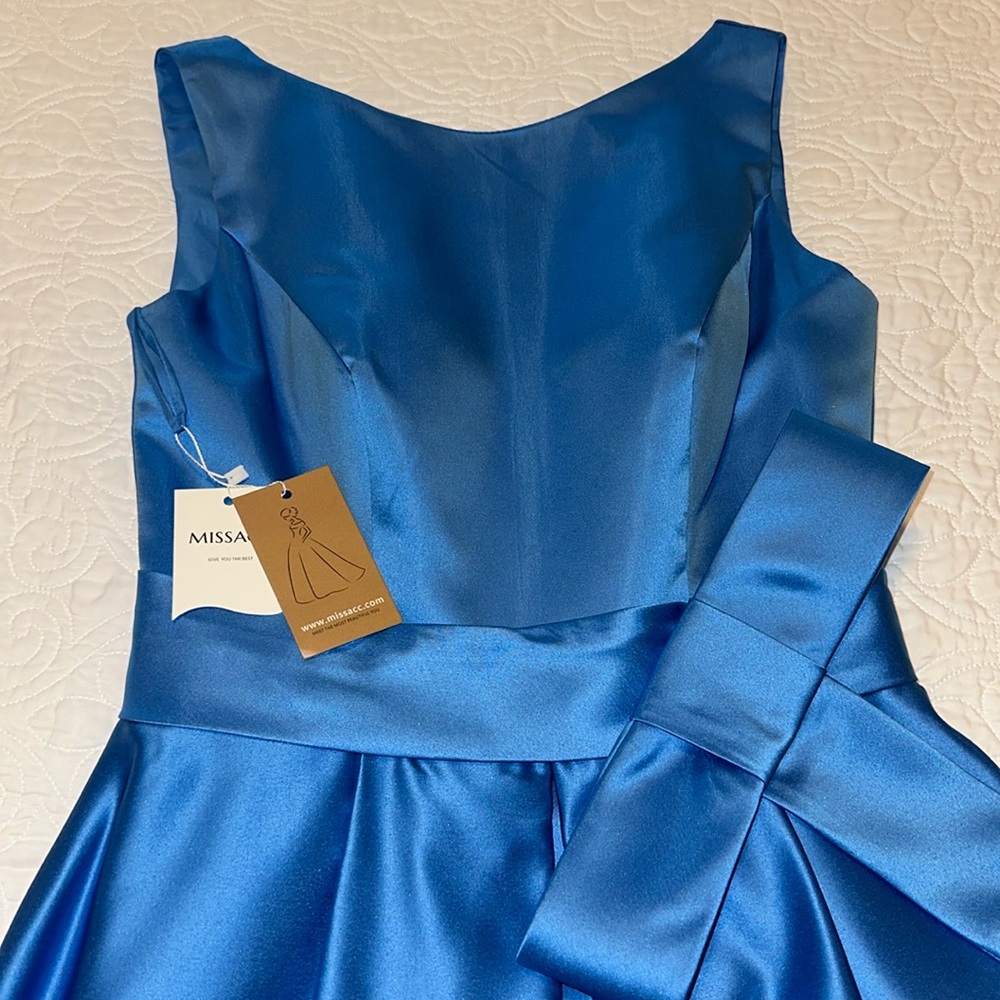 Mother of The Bride Elegant Blue MISSACC Evening Gown! - Picture 12 of 16